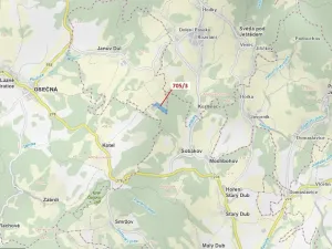 Dražba lesa, Janův Důl, 27787 m2