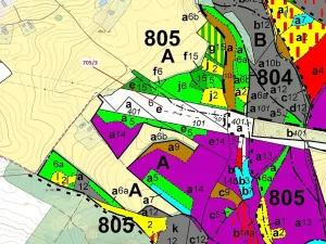 Dražba lesa, Janův Důl, 27787 m2