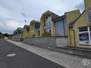 Pronájem výrobních prostor, Sokolov, Trocnovská, 876 m2