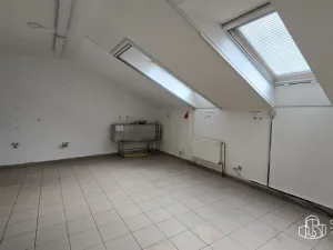 Pronájem výrobních prostor, Sokolov, Trocnovská, 876 m2