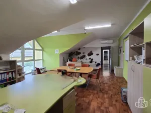 Pronájem výrobních prostor, Sokolov, Trocnovská, 876 m2