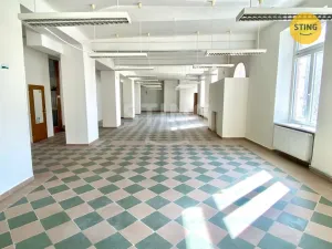 Pronájem obchodního prostoru, Opava, sady Svobody, 270 m2