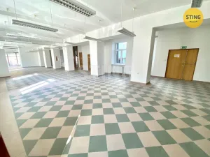 Pronájem obchodního prostoru, Opava, sady Svobody, 270 m2