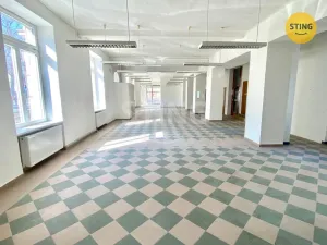 Pronájem obchodního prostoru, Opava, sady Svobody, 270 m2