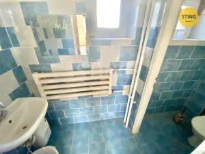 Pronájem obchodního prostoru, Opava, sady Svobody, 270 m2