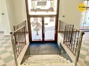 Pronájem obchodního prostoru, Opava, sady Svobody, 270 m2