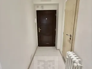 Pronájem bytu 2+kk, Praha - Žižkov, Hořanská, 50 m2