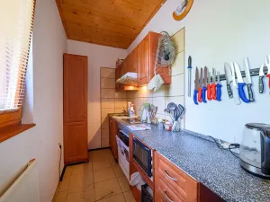 Prodej restaurace, Tábor, Lužnické údolí, 694 m2