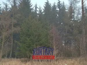 Prodej lesa, Opatov, 11455 m2