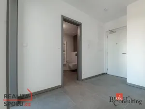 Pronájem bytu 2+kk, Plzeň, U Borského parku, 54 m2