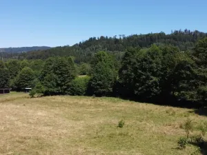 Prodej pozemku pro bydlení, Olešnice v Orlických horách, 3027 m2