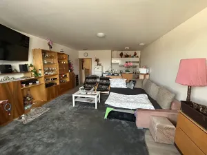 Prodej bytu 1+kk, Brno, Gajdošova, 46 m2