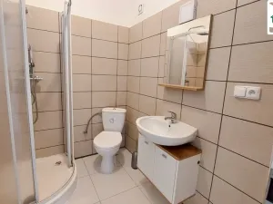 Pronájem bytu 1+1, Františkovy Lázně - Horní Lomany, Americká, 47 m2