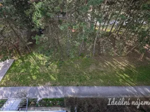 Pronájem bytu 3+1, Brno, Zikova, 74 m2