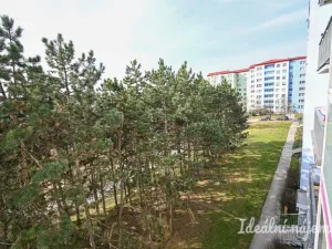 Pronájem bytu 3+1, Brno, Zikova, 74 m2