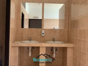 Pronájem obchodního prostoru, Kroměříž, Oskol, 450 m2