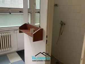 Pronájem obchodního prostoru, Kroměříž, Oskol, 450 m2