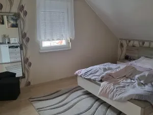 Prodej rodinného domu, Wiesenwaldstraße,Waibstadt,Německo, 240 m2