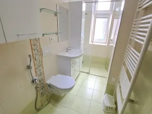 Pronájem bytu 1+1, Olomouc - Nová Ulice, Polívkova, 45 m2