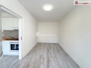 Pronájem bytu 1+1, Ústí nad Labem, Purkyňova, 32 m2
