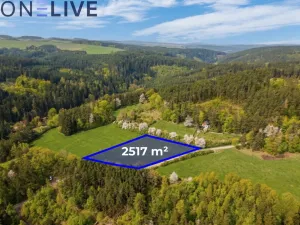 Prodej zahrady, Plasy, 2517 m2