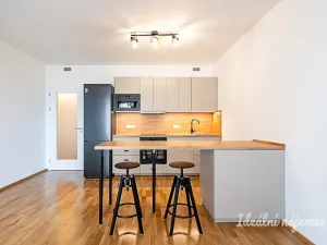 Pronájem bytu 2+kk, Praha - Vysočany, Fafkových, 54 m2