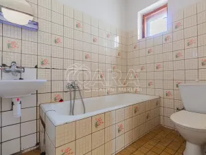 Prodej zemědělské usedlosti, Lišov - Horní Slověnice, 900 m2