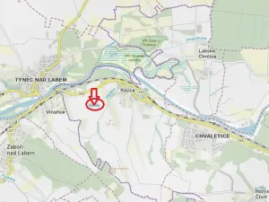 Prodej podílu lesa, Kojice, 4203 m2