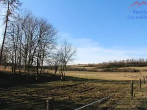 Prodej pozemku pro bydlení, Blevice, 1000 m2