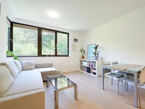 Pronájem bytu 2+kk, Praha - Podolí, Sinkulova, 47 m2