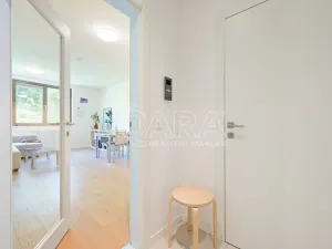 Pronájem bytu 2+kk, Praha - Podolí, Sinkulova, 47 m2