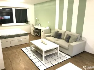 Pronájem bytu 1+kk, Olomouc, Dolní novosadská, 43 m2