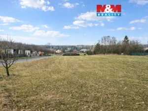 Prodej pozemku pro bydlení, Velké Albrechtice, 1065 m2
