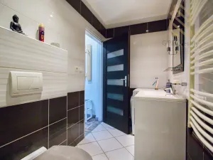 Prodej bytu 4+1, Ústí nad Labem - Ústí nad Labem-centrum, Hostovická, 240 m2