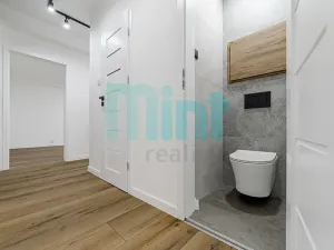 Pronájem bytu 1+1, Ostrava, Alšovo náměstí, 41 m2