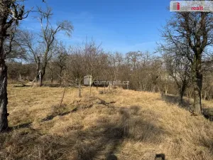 Prodej zahrady, Rataje, 668 m2