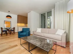 Pronájem bytu 1+kk, Praha - Smíchov, Holečkova, 65 m2