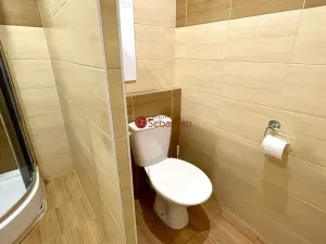 Pronájem bytu 2+kk, Teplice - Trnovany, Jana Koziny, 43 m2