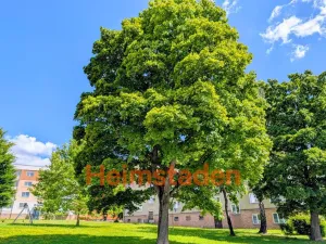 Pronájem bytu 1+1, Havířov - Město, Resslova, 36 m2