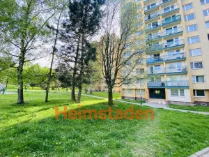 Pronájem bytu 1+kk, Ostrava - Zábřeh, Petruškova, 29 m2