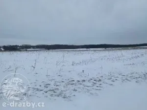 Dražba pole, Toušice, 7911 m2