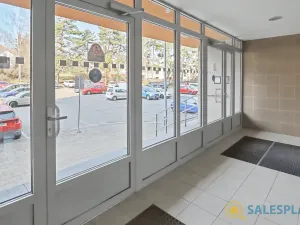 Prodej bytu 2+1, Brno, Horácké náměstí, 71 m2