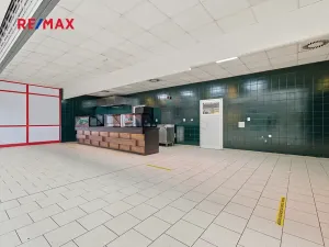 Pronájem obchodního prostoru, Plzeň, 181 m2