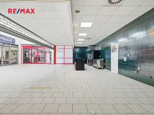 Pronájem obchodního prostoru, Plzeň, 181 m2