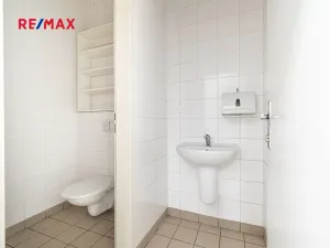 Pronájem obchodního prostoru, Plzeň, 181 m2