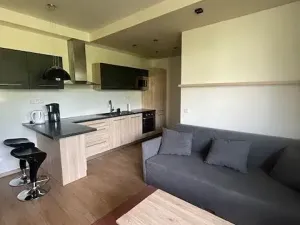 Pronájem bytu 2+kk, Olomouc, Jarmily Glazarové, 47 m2