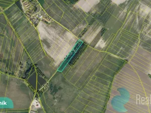 Prodej podílu 1/8 pole, Hlavečník, 3089 m2