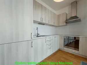 Pronájem bytu 1+kk, Praha - Žižkov, Ke kapslovně, 38 m2