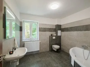 Pronájem apartmánu, Ostrava, Riegrova, 300 m2