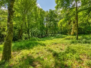 Prodej pozemku pro bydlení, Hrubá Skála, 5519 m2